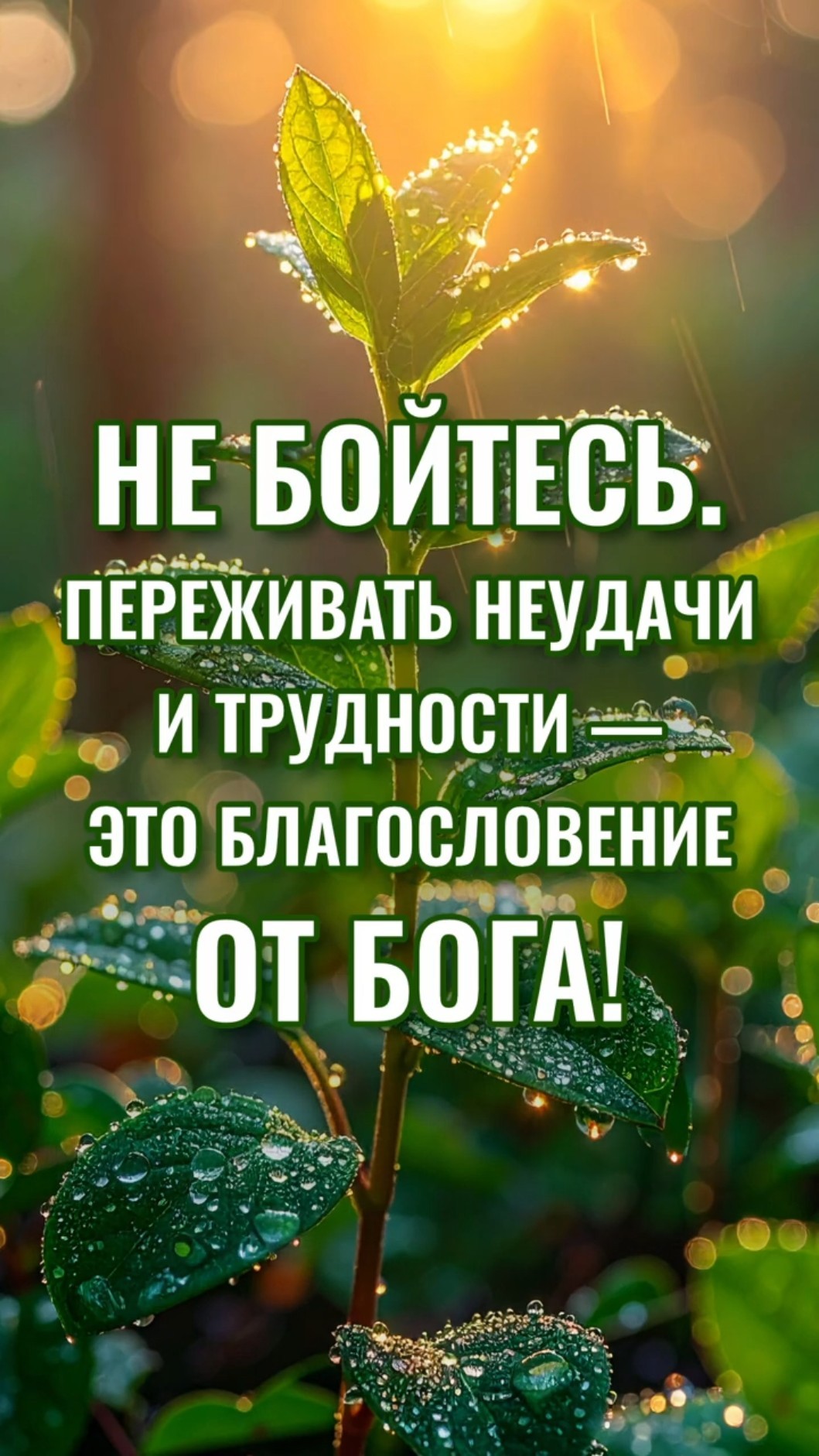 Не бойтесь. Переживать неудачи и трудности — это благословение от Бога!