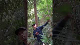 Konten sederhana terbaca algoritma karena konsisten posting dan interaksi