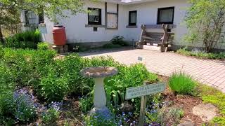 Fletcher Wildlife Gardens in the Experimental Farm Ottawa ON