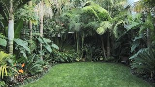 Small Tropical Gardens around the Globe