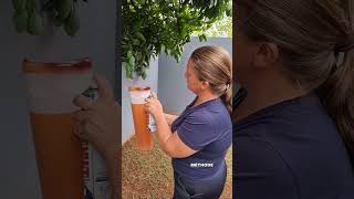 Astuce Jardin #jardin #renovation #paysagiste