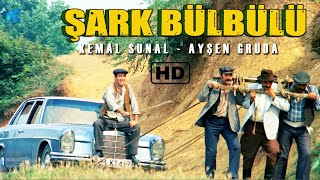 Şark Bülbülü Türk Filmi Restorasyonlu Kemal Sunal Filmleri