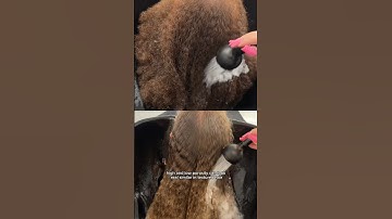 High Porosity vs Low Porosity👀 #highporosity #highporosityhair