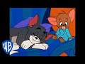 Tom & Jerry | Cosy Season is Back 🍂 | Classic Cartoon Compilation | @WB Kids