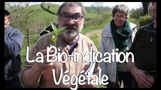 La Bio-Indication Végétale, avec Gérard Ducerf