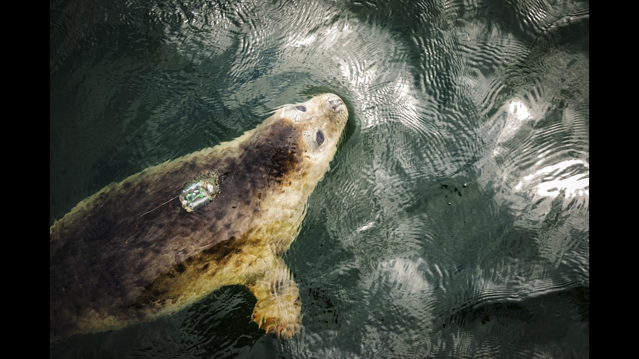 Atliekų kultūros apdovanojimuose - Lietuvos jūrų muziejus