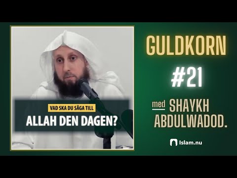 Vad ska du säga till Allah den dagen? | Shaykh Abdulwadod Frank