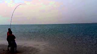 2011 9 16 2:39 AM