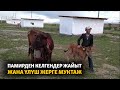 Памирден келгендер жайыт жана үлүш жерге муктаж