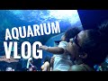 The Life of Jayda Cheaves "Aquarium Vlog"