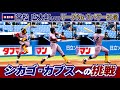 慶應大学／常松 広太郎(４年) シカゴ・カブスへの挑戦（リーグNO.1 パワー打者の全安打見せます）