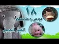 بوجي وطمطم في الفيل الجميل الحلقة 18 من 22 