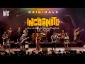 Capture de la vidéo Incognito - Live At Jazz À Vienne Festival (2023) | Qwest Tv
