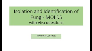 All about Isolation and identification of fungi (Molds) | MSc practical series | Microbiology