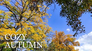 4K Cozy Autumn Days 🍂 | 1 Hour Of Calming Piano Music And Fall Scenery