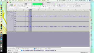 How to Copy, Paste, and Single Out a Clip in Audacity