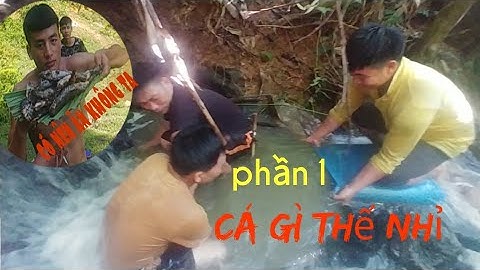 bắt cá suối trong rừng và nướng ăn tại rừng [phần 1] |ATNR|