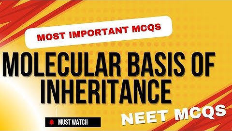 Molecular Basis of inheritance most important MCQs /NEET 2025 Preparation