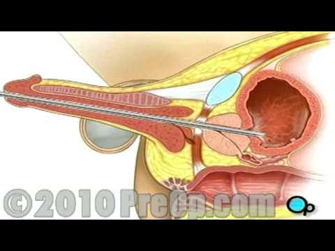 Эльдорадо мультфильміне порно пародия