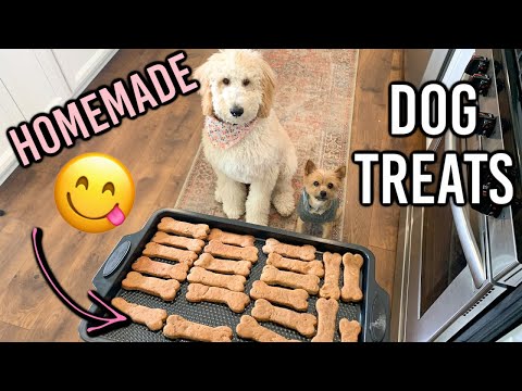 Video: Spis din Veggies Dog Treat Recipe