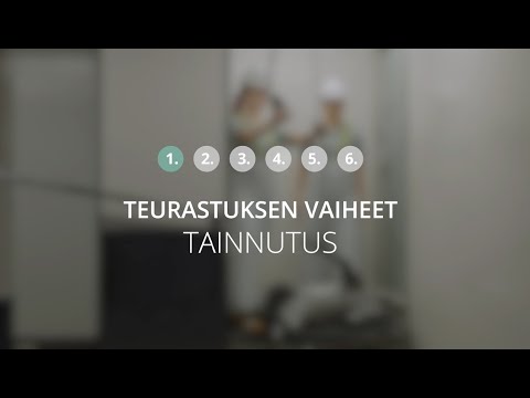 Video: Miehistöyritykset ja niiden toiminnan piirteet