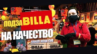 Блогеры оставили магазин без товара / BILLA - акция утилизация.