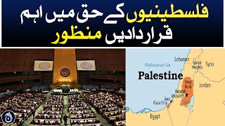 Important resolutions passed in favor of Palestinians - Aaj News