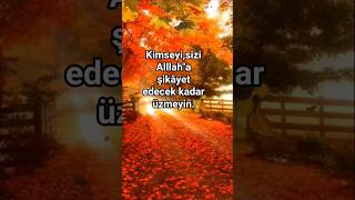 Bir Kuş Gibi Uçtu Ömrüm.🍂🕊 Yar Yüreğin Demirden Mi? 🍂💔 Resimi