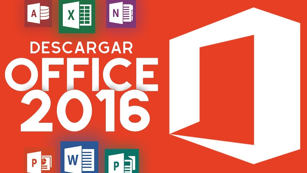 Office krolik. Microsoft Office 2016. MC Office 2016. Office 2016 Pro Plus картинки. Лейб офис 2016.