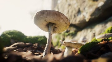 Quixel Unreal Engine 4 Forest Scene
