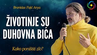 Branislav Pajić Anya - ŽIVOTINJE SU DUHOVNA BIĆA - Šta nas čini savršenim?