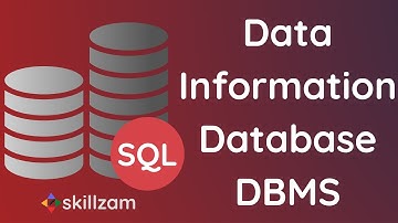 01 SQL Data - Information - Database - DBMS