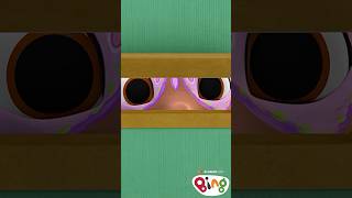 Sula Is A Pretty Butterfly Bing Shorts