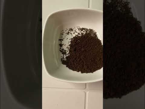 مقشر لفروة الراس بمكونين فقط يشيل القشرة والروائح