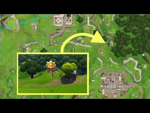 Fortnite suche zwischen einem Steinkreis, einer Holzbrücke und einem