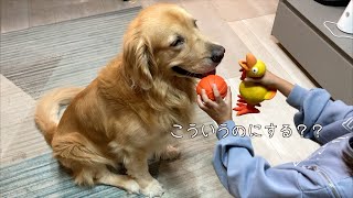 誕生日プレゼントを一生懸命考えてくれている姉へ、ひどい仕打ちをする愛犬w