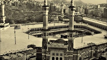 الشيخ علاء المزجاجي - من سوره الزمر