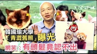 韓國瑜大學「青澀舊照」曝光　網笑：有頭髮竟認不出 | 台灣蘋果日報