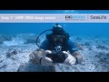 Sealife dc2000 digital underwater camera