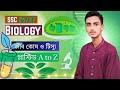 প্লাস্টিড | 💥Plastid | জীবকোষ ও টিস্যু | Class 9,10 Biology | TBS