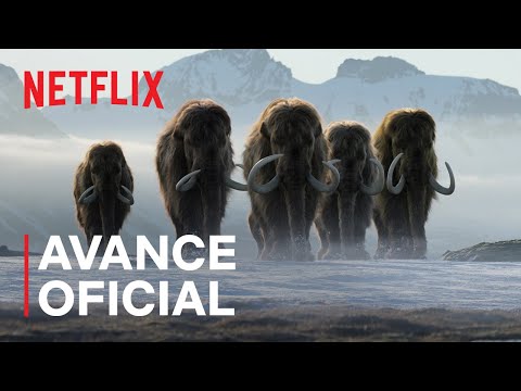 La vida en nuestro planeta (EN ESPAÑOL) | Avance oficial | Netflix