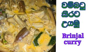 වම්බටු මේ විදියට හදල බලන්නකෝ / Brinjal curry / Wambatu curry / Life with Ishi