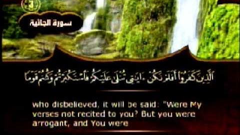 ماهر المعيقلي : ما تيسر من سورة الجاثية