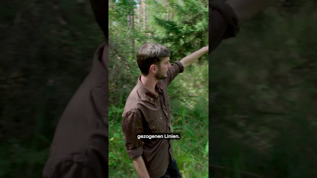 Feuchtbiotope anlegen: Wir gestalten Naturparadiese für Frösche & Co.! 🐸💧 