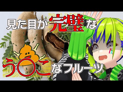見た目がう〇こな海外のフルーツ『タマリンド』を実食！！ 【 はいぴんぐモナカ 】
