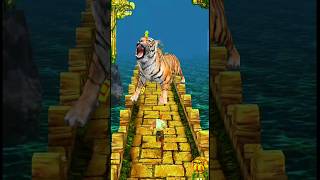 Tiger Attack Me