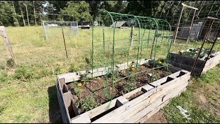 Is This U-Shaped Garden Trellis Worth Buying