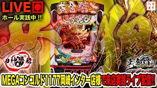 バカぱちch【しゃちょう】の配信のサムネイル画像