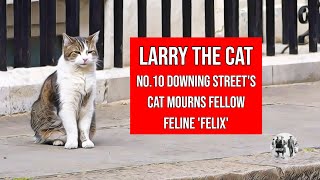 No.10's Downing Street Cat Larry mourns the death of Felix the Huddersfield railway station cat