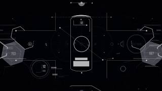 Wild Tiger Energy Drink